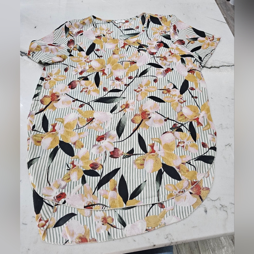 Spense, Size L